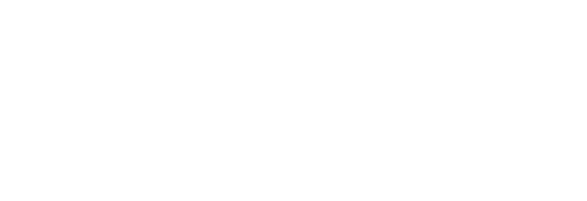 Stealth Partner Group Logo